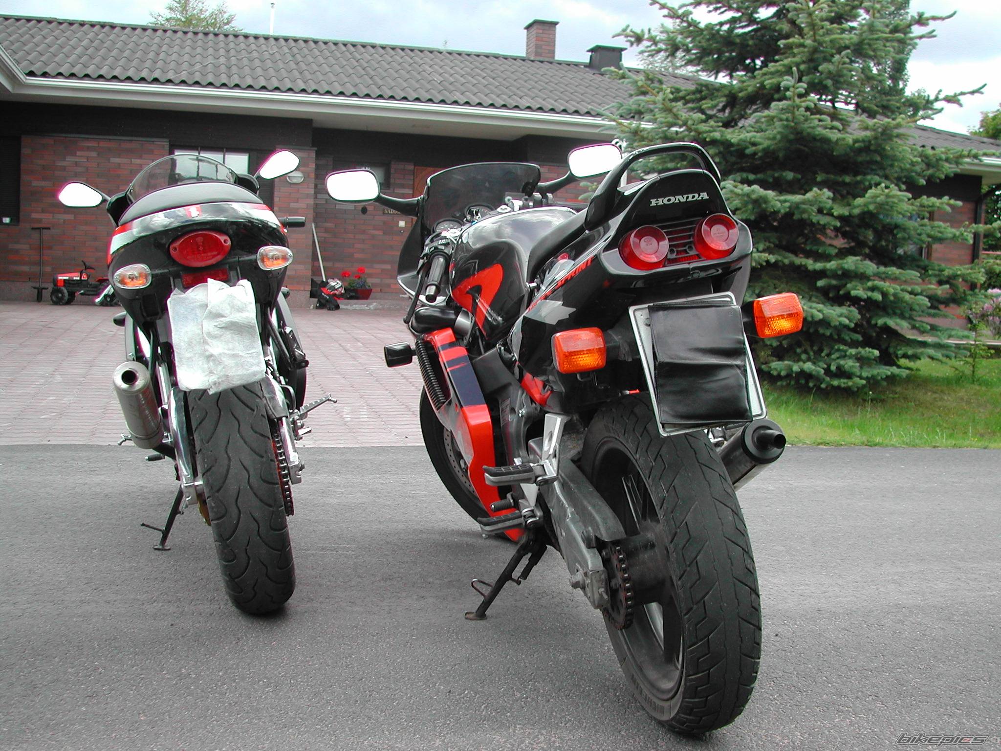 Photo 174290
