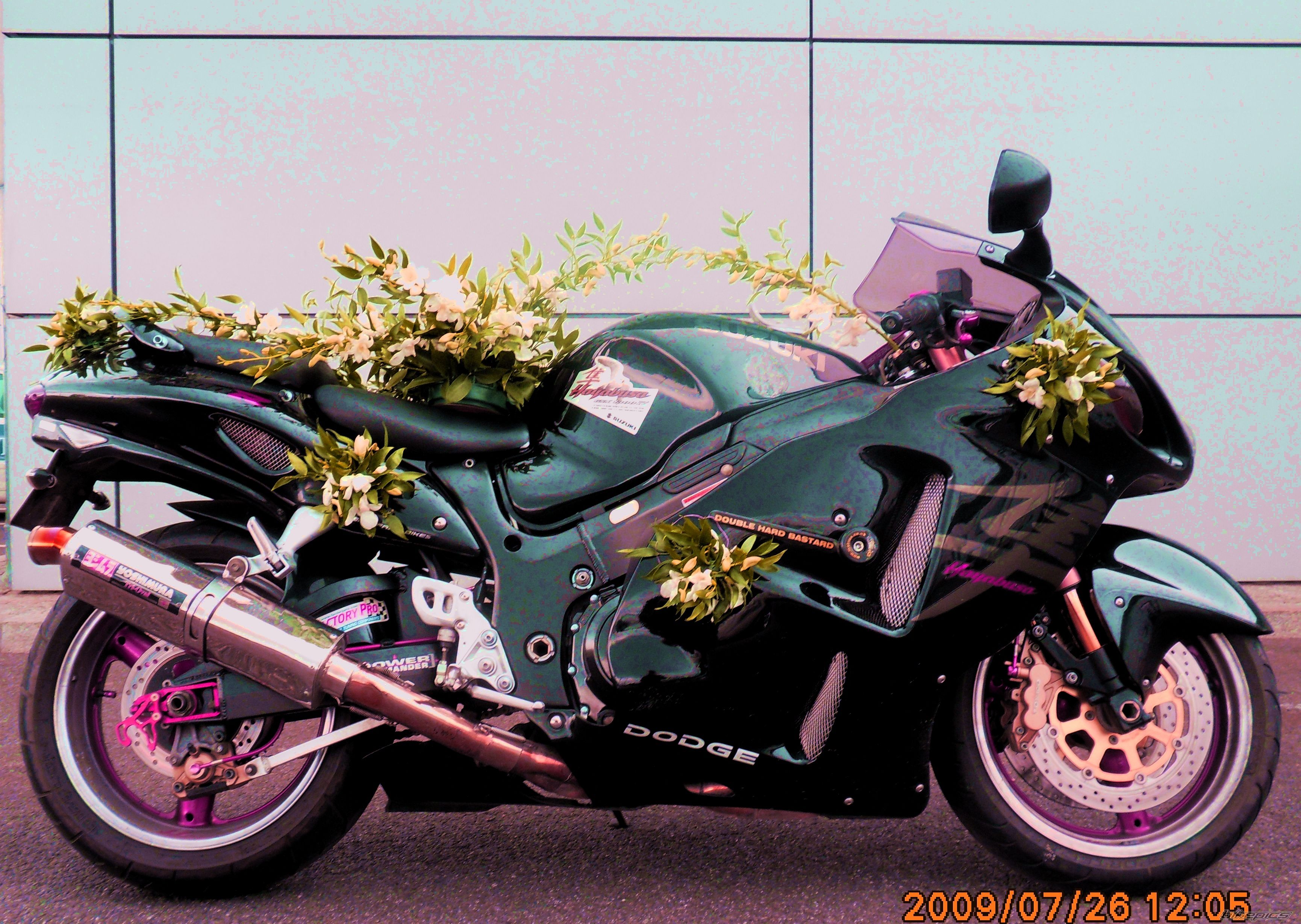 Photo 1742968