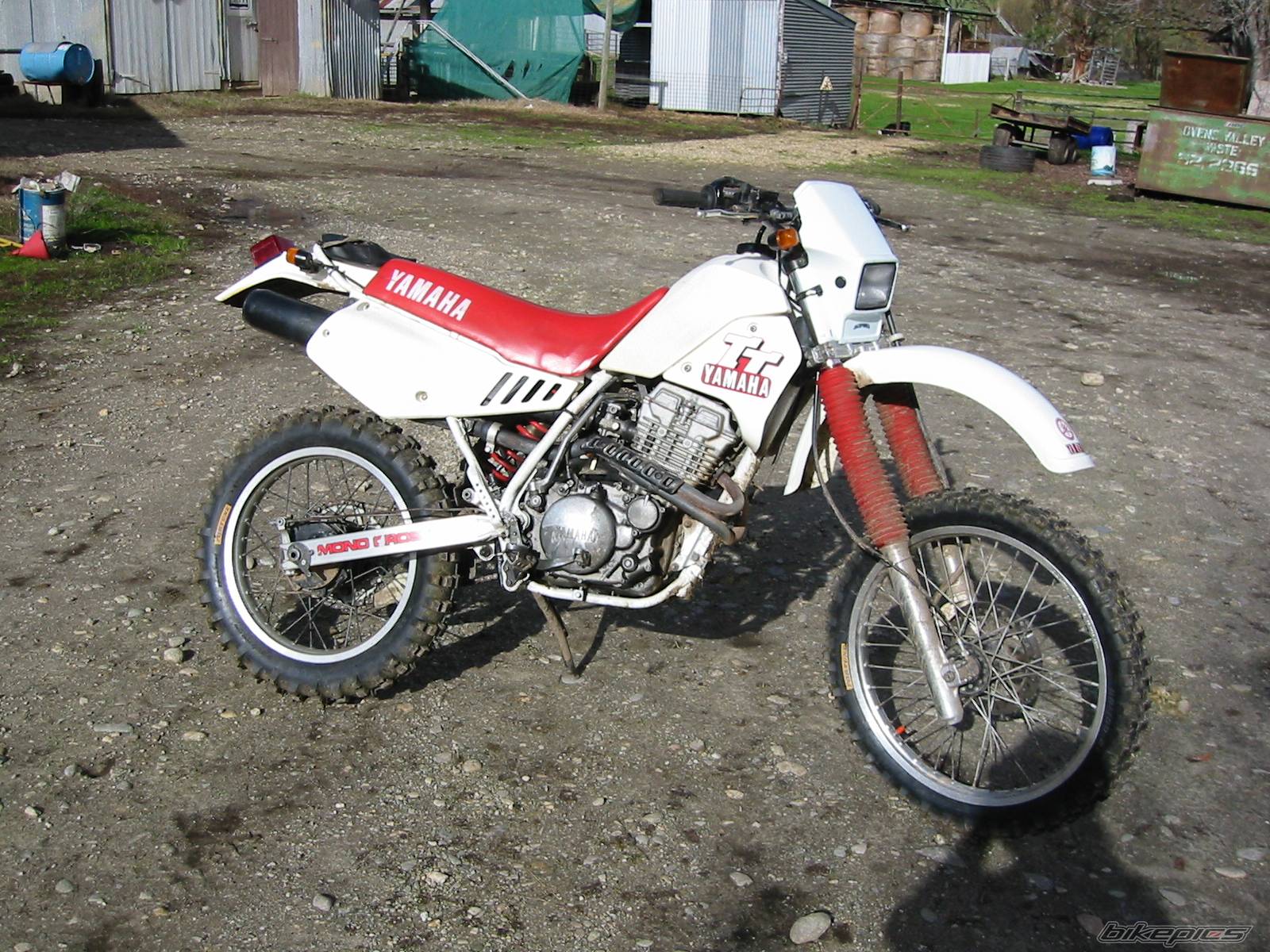 Photo 174322