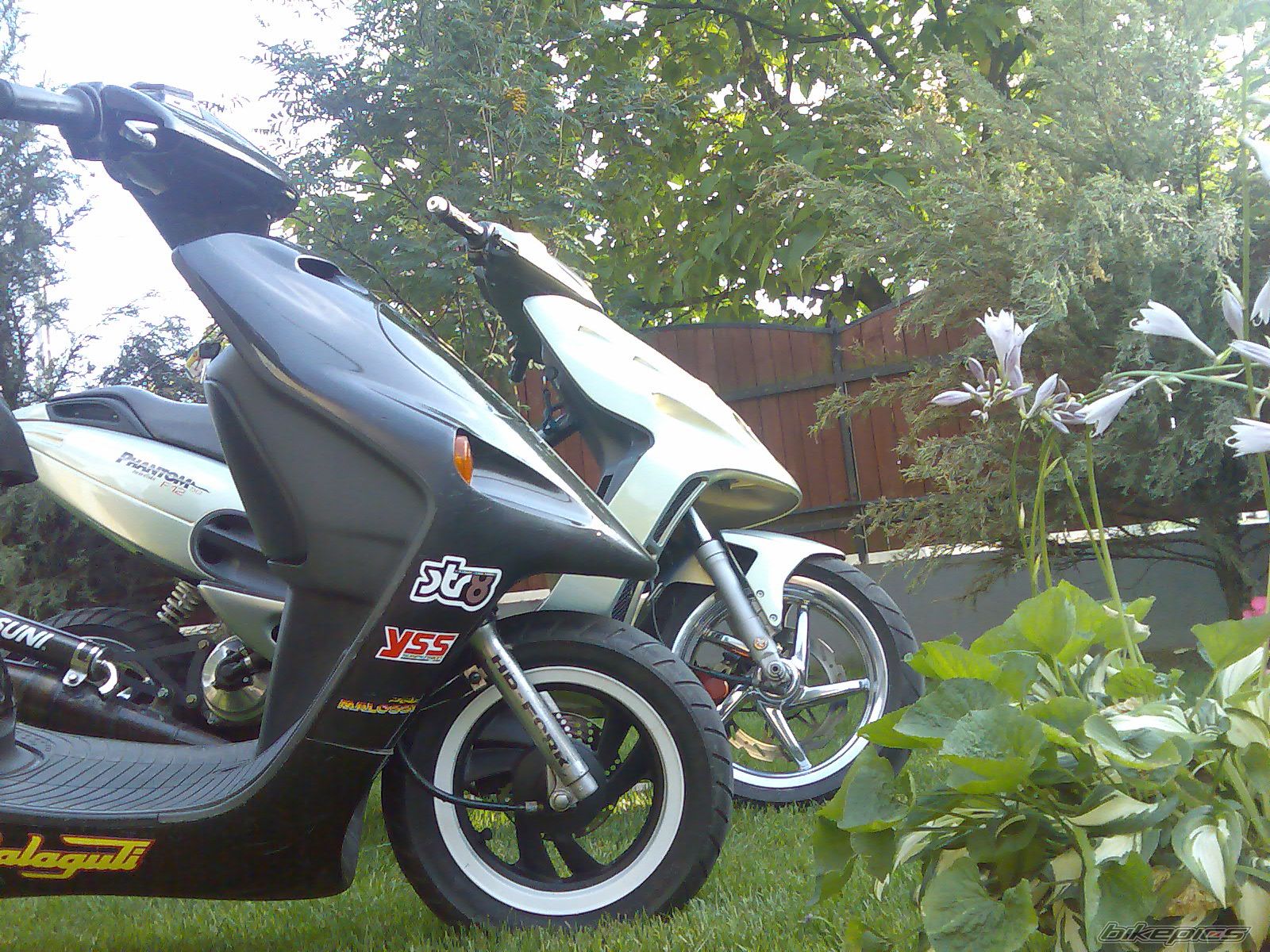 Photo 1743281