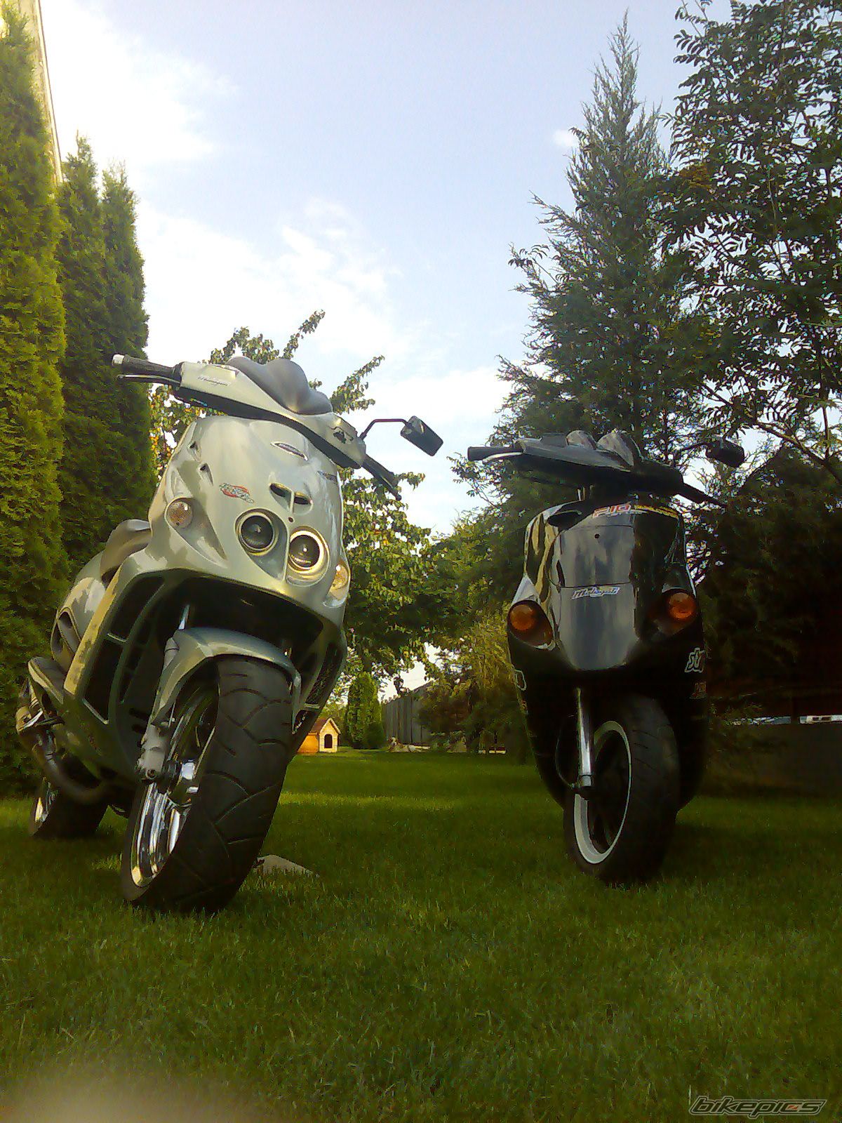 Photo 1743299