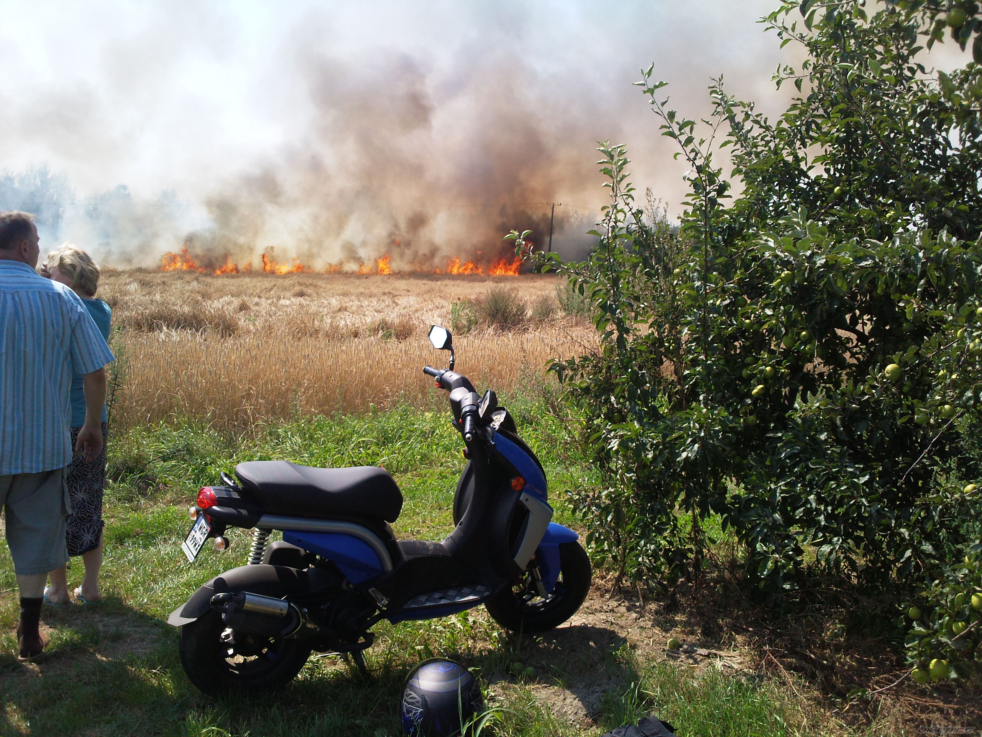 Bike Photo 1743404