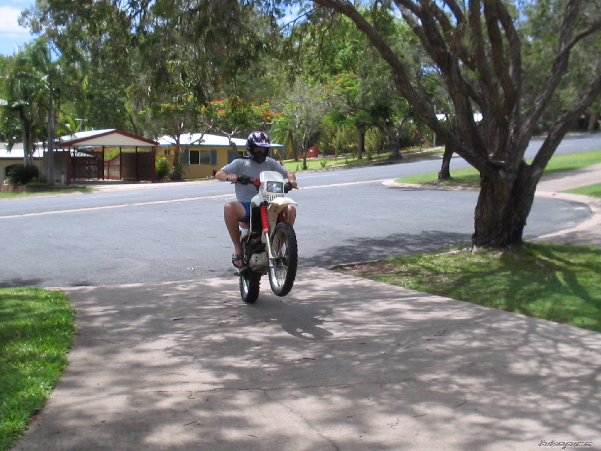 Bike Photo 174348