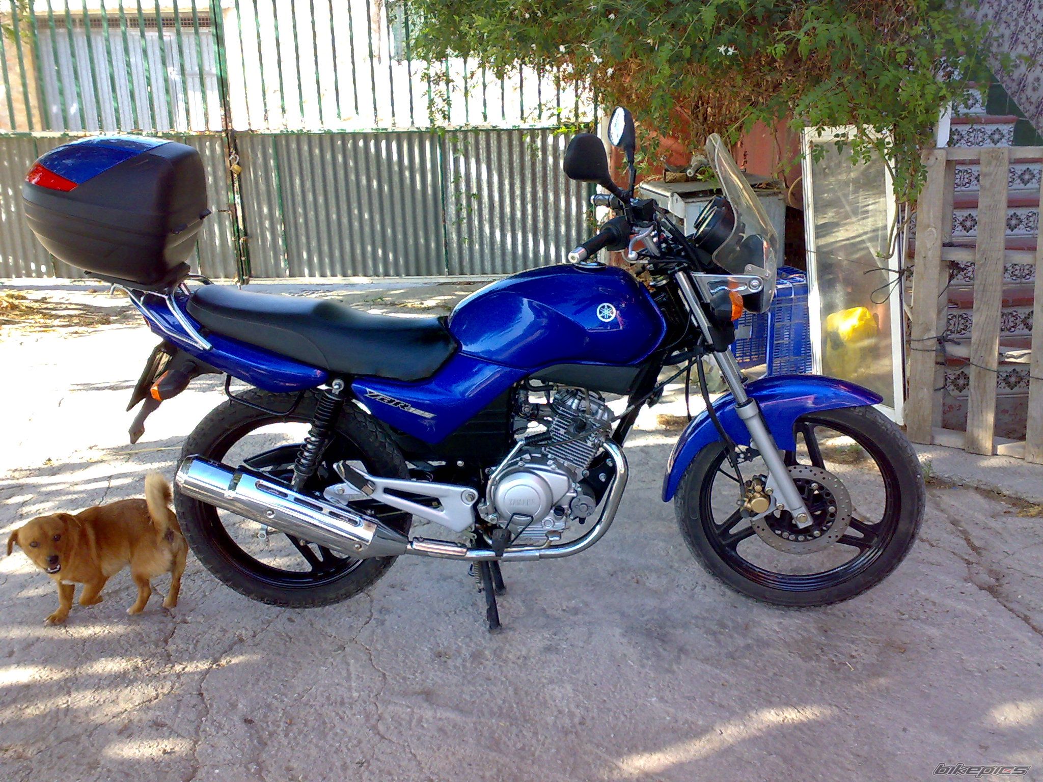 Photo 1743636