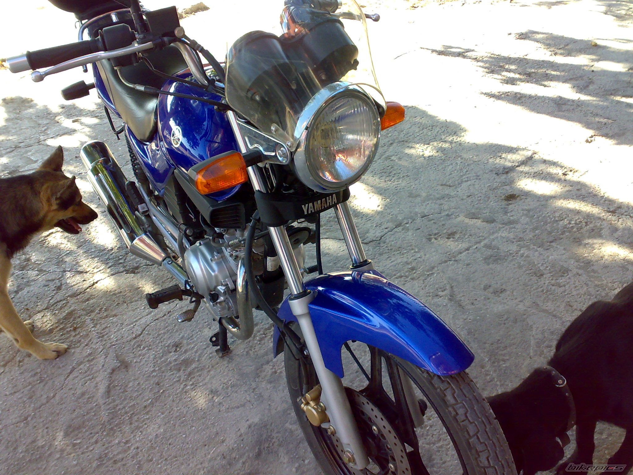 Photo 1743656