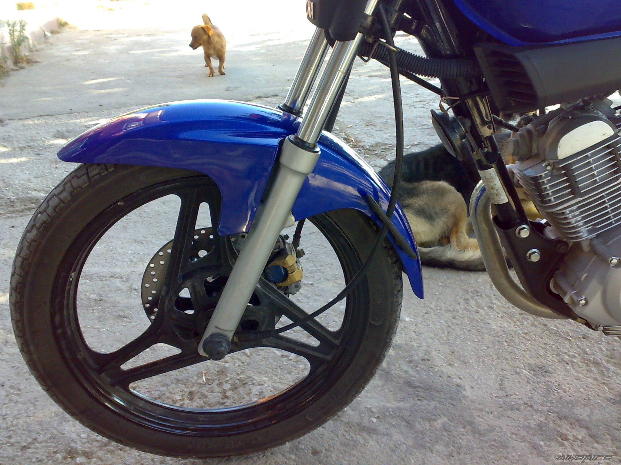 Photo 1743664