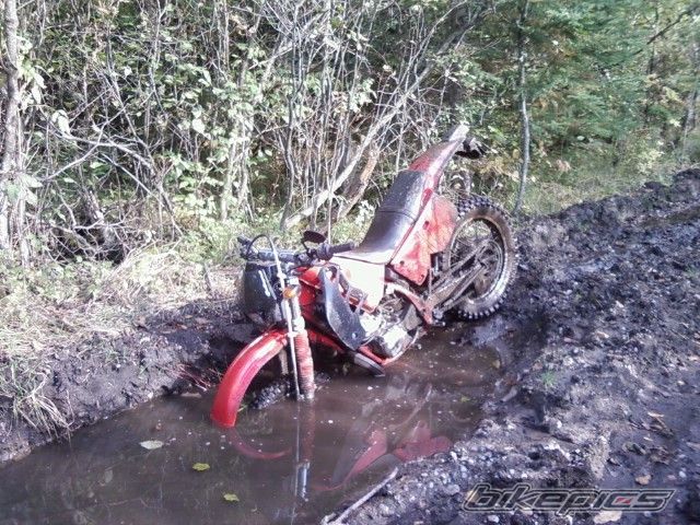 Photo 1743681