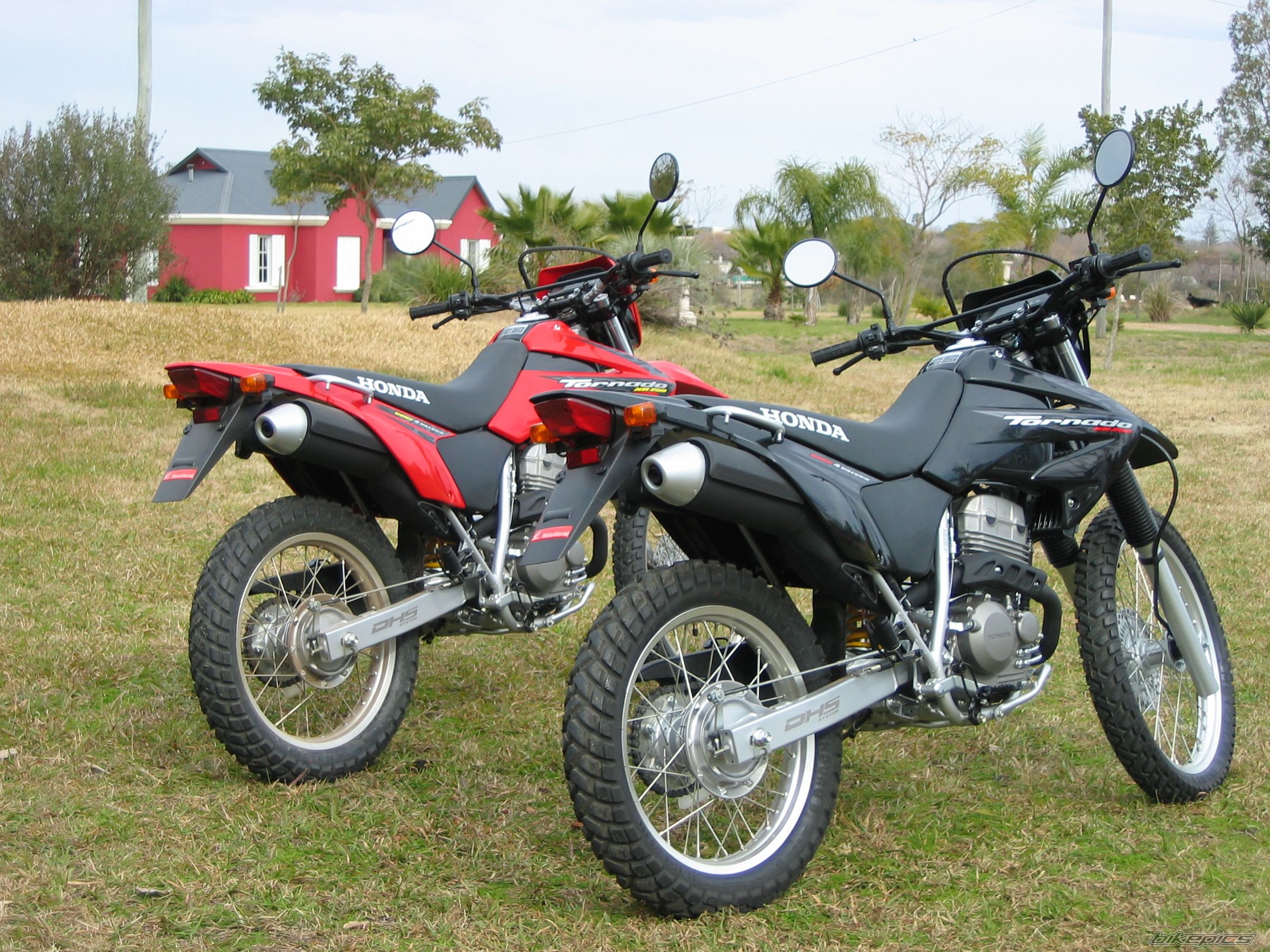 Photo 1743825