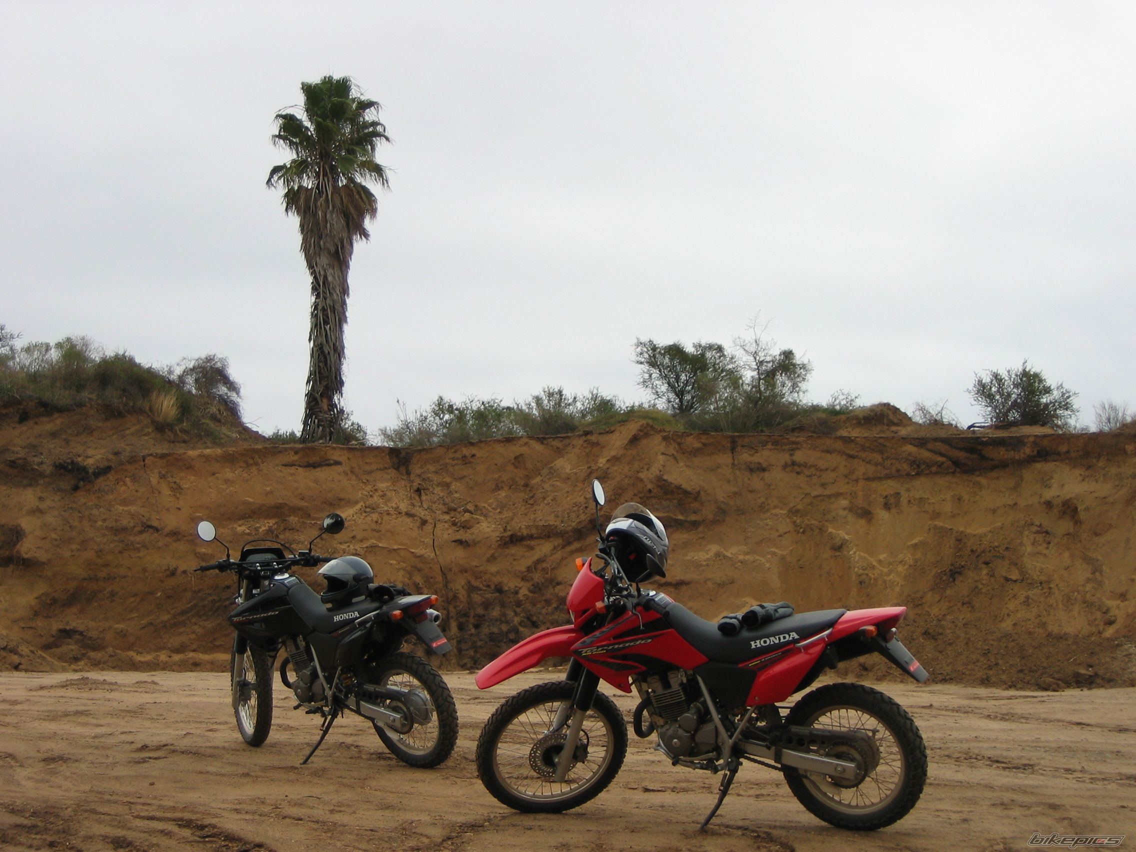 Photo 1743826