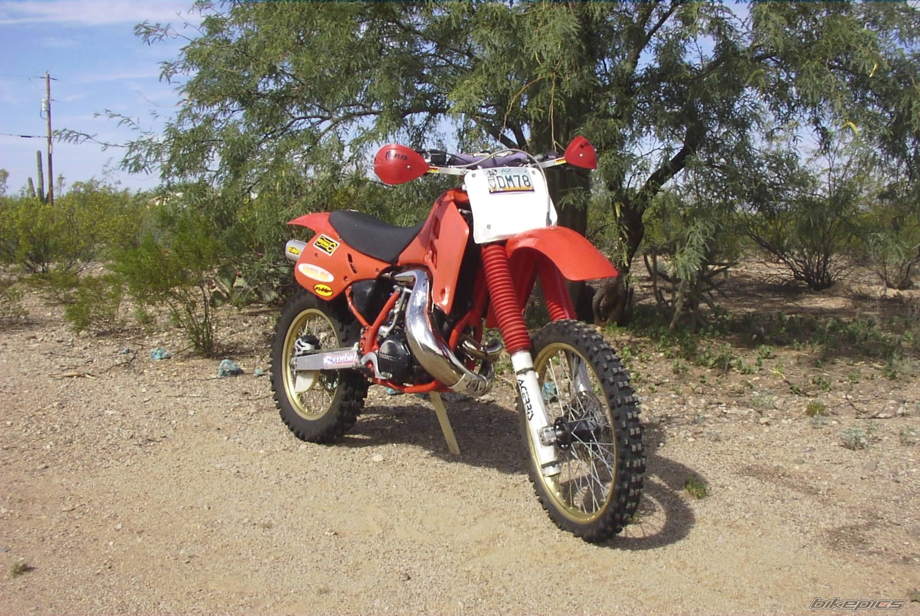Photo 1743845