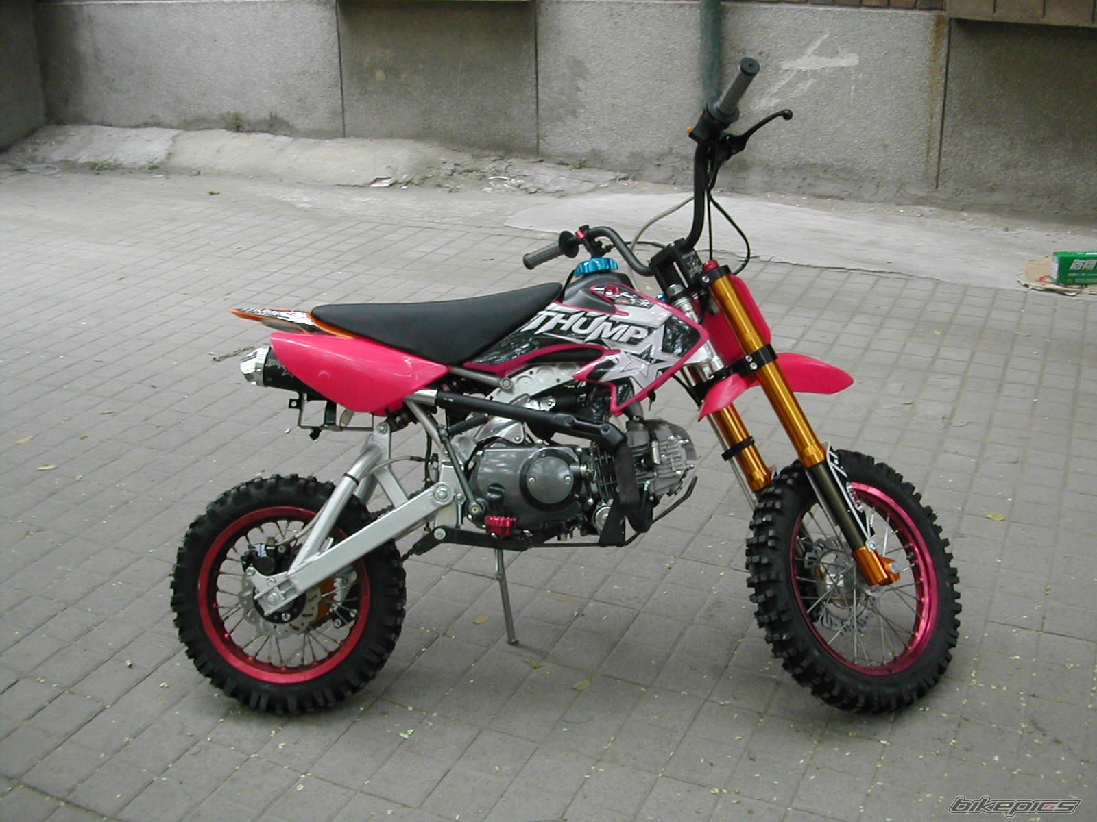 Photo 1743874