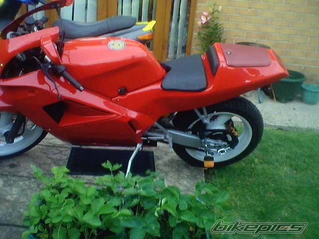 Photo 174390