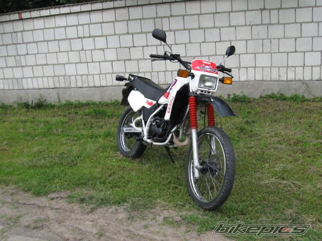 Bike Photo 1744256