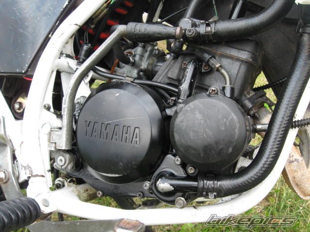 Bike Photo 1744259