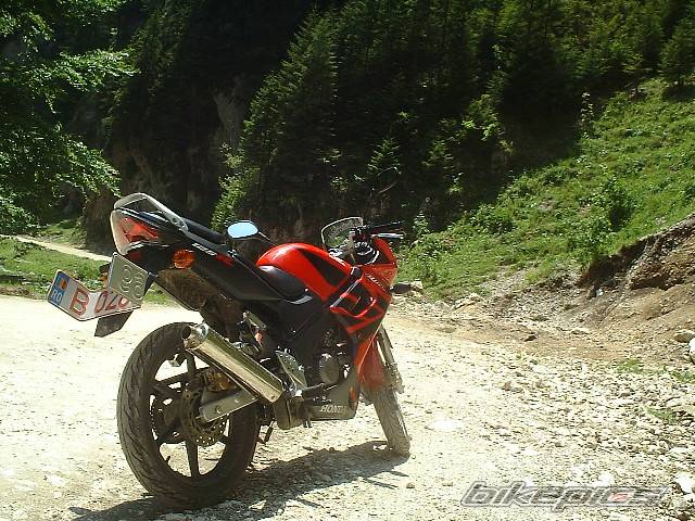 Bike Photo 174440