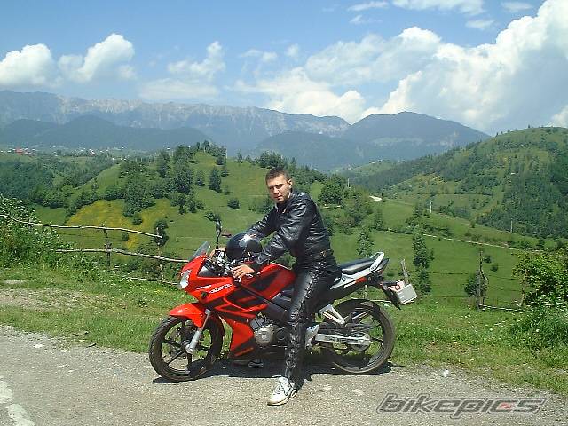Photo 174444