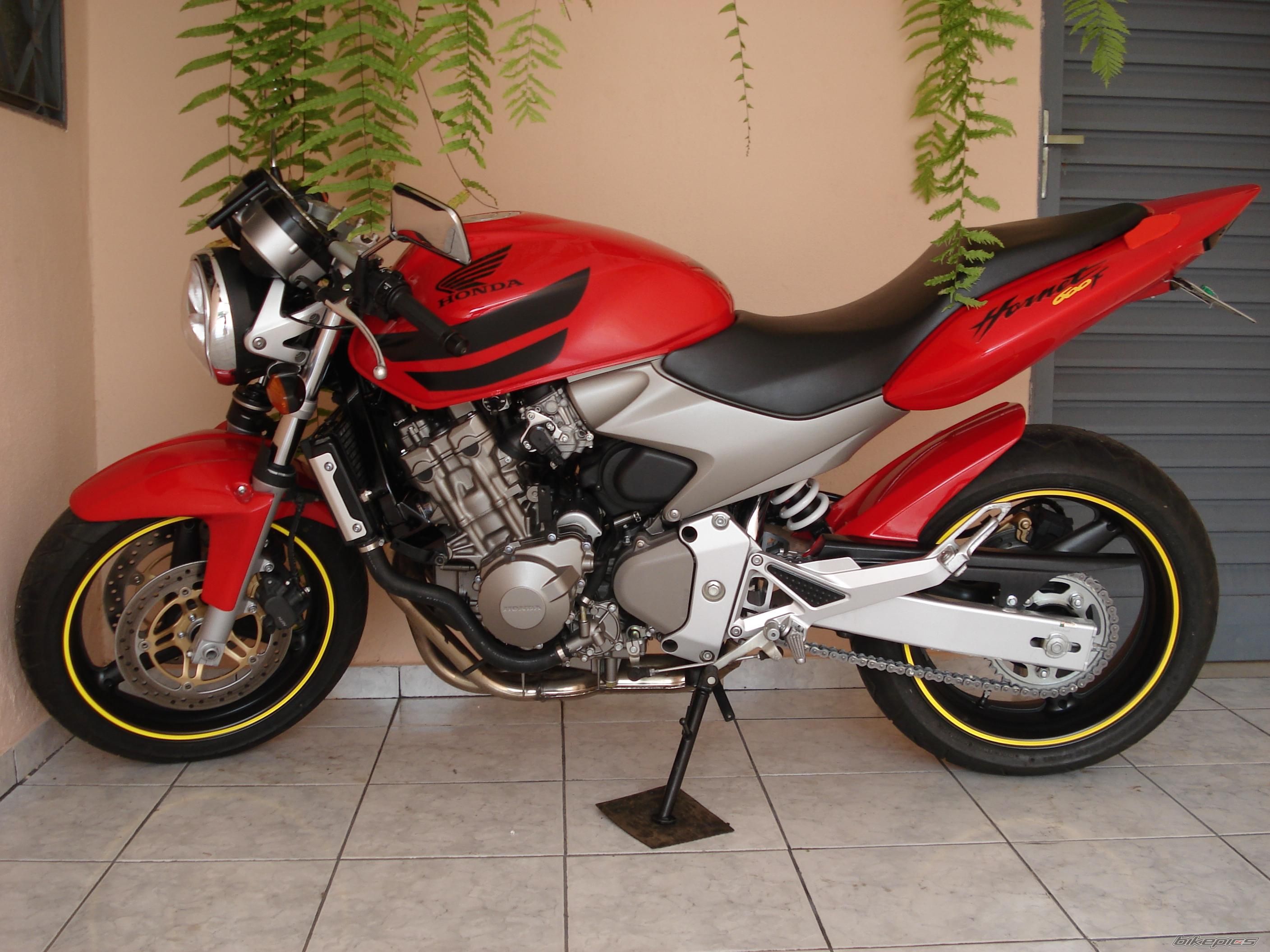 Photo 1744464
