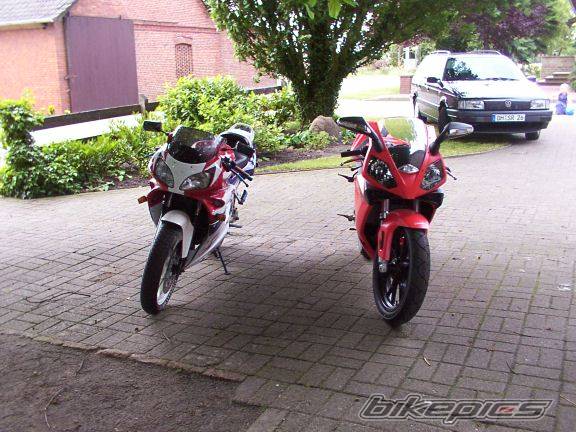 Photo 174486