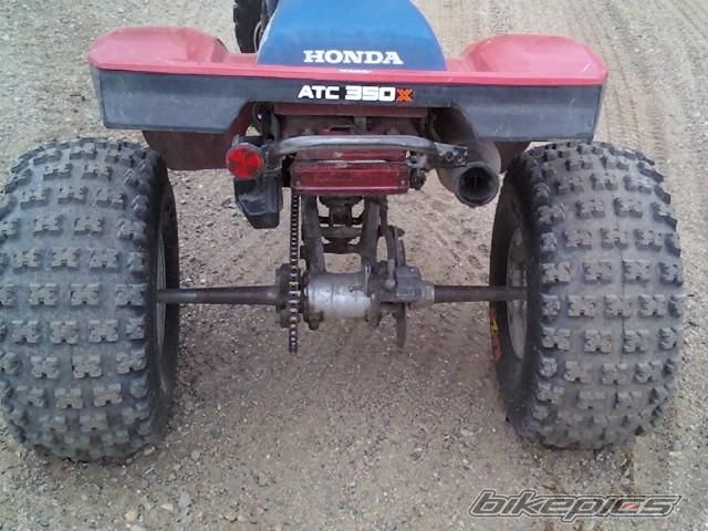 Photo 1744944