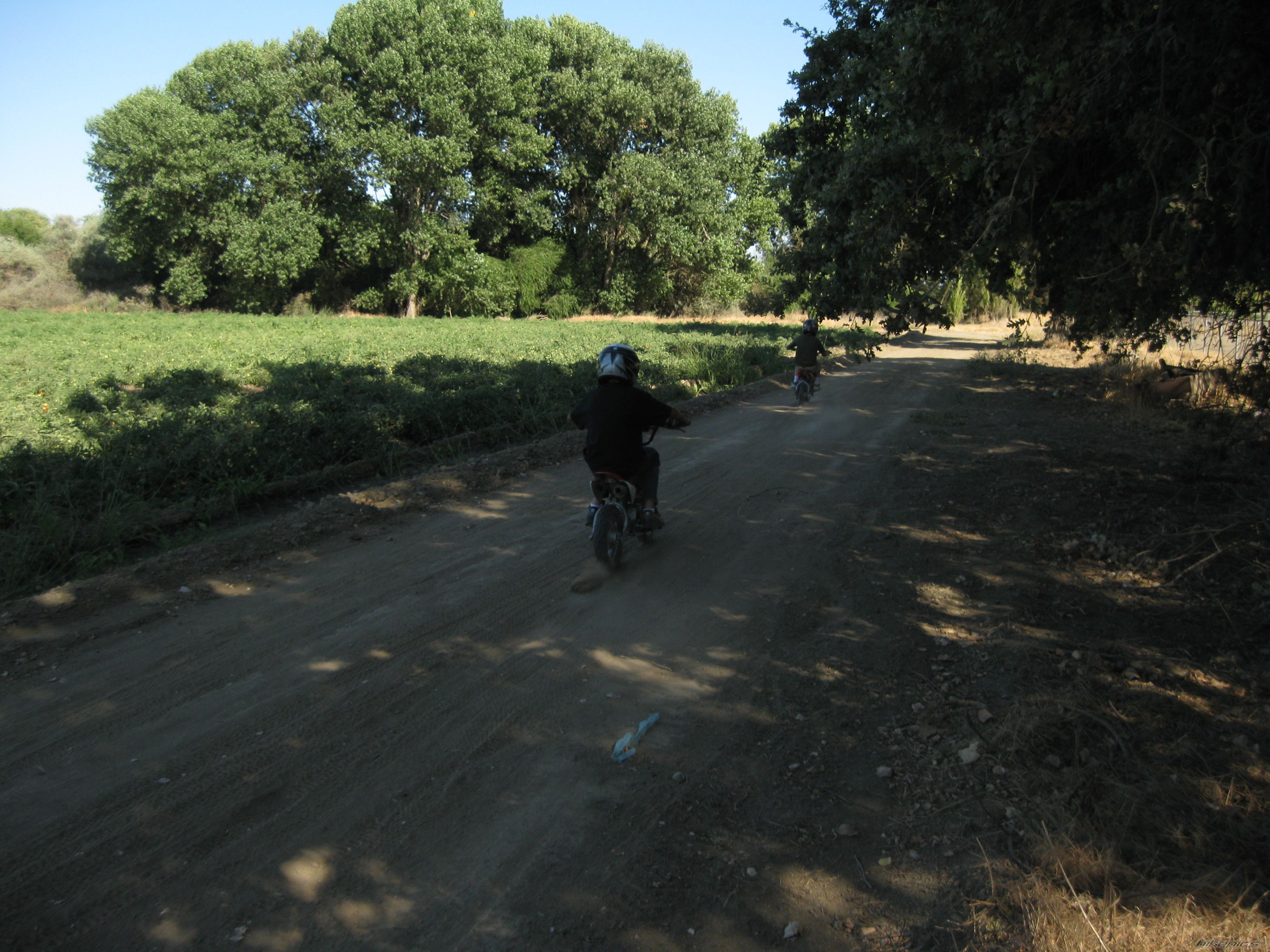 Photo 1744985