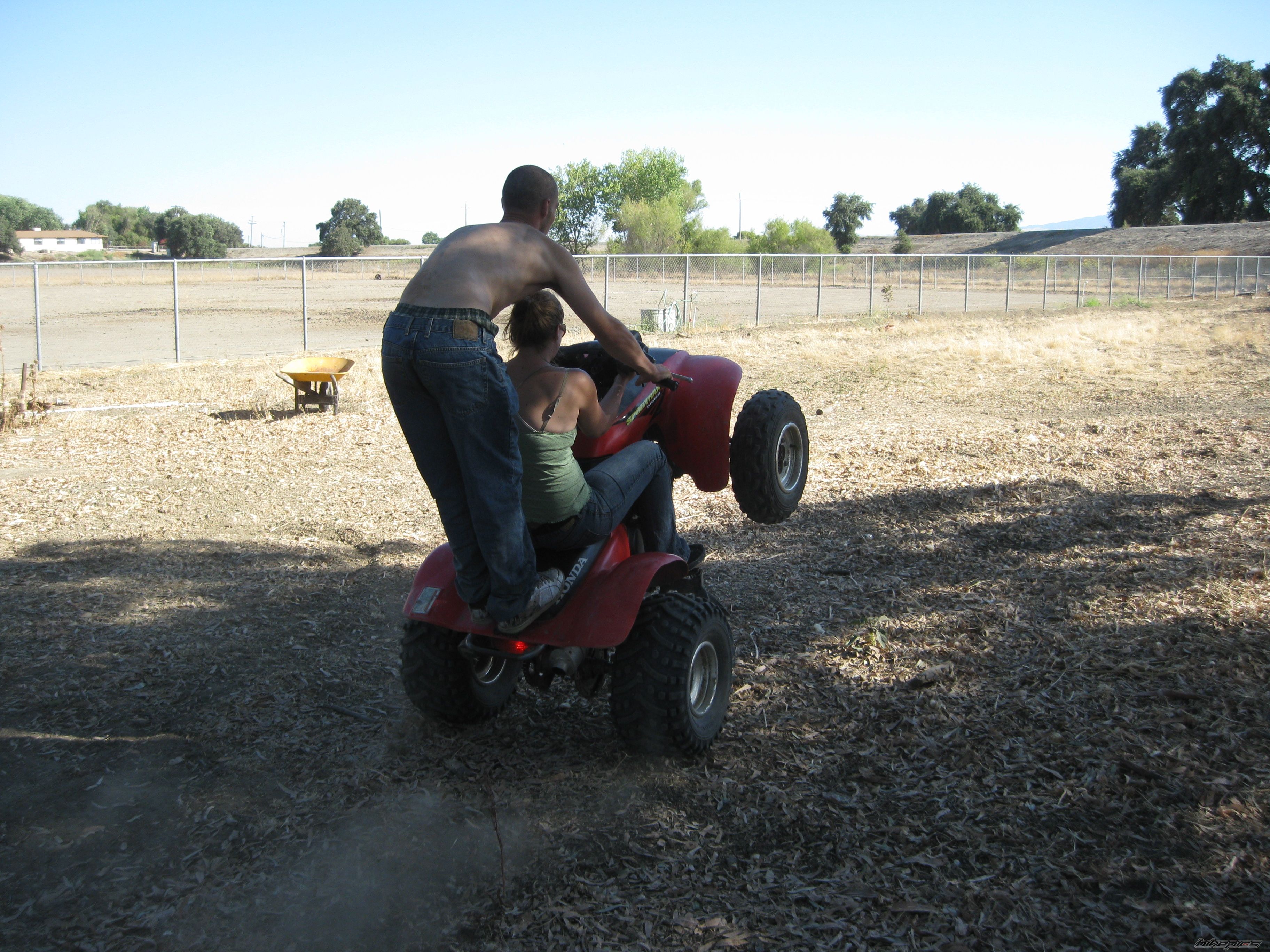 Photo 1744986