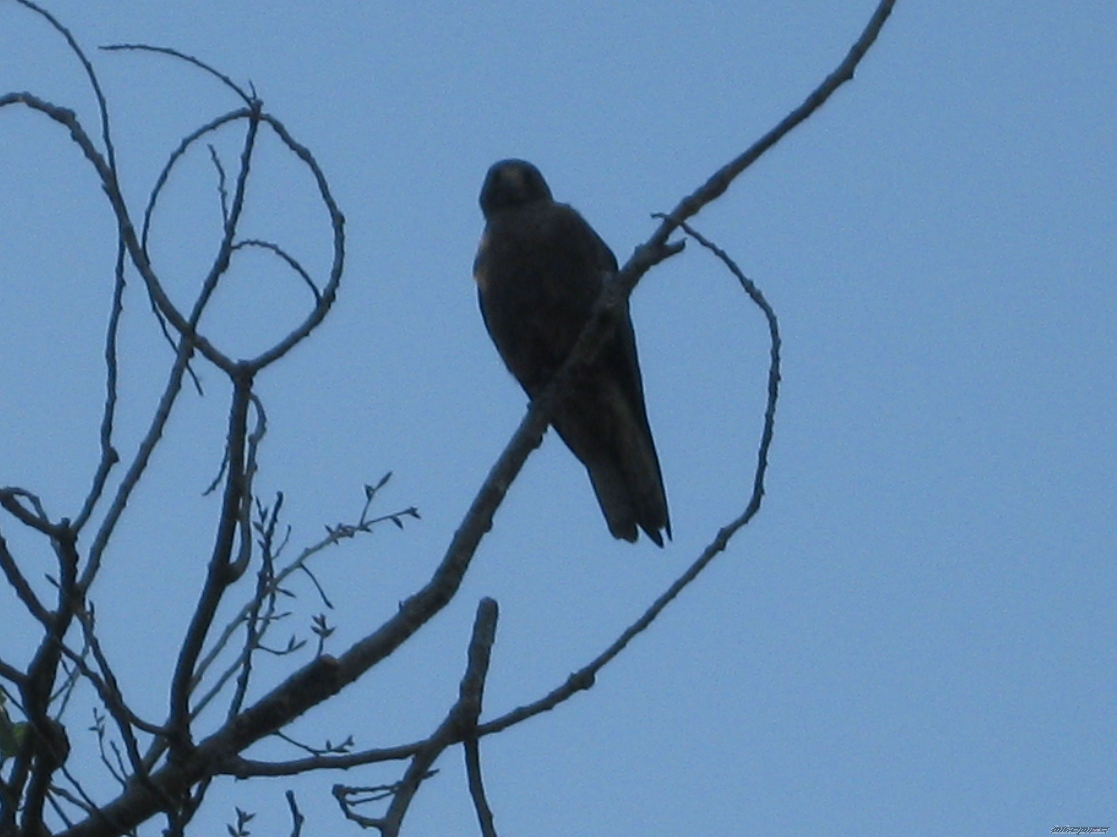 Photo 1745012
