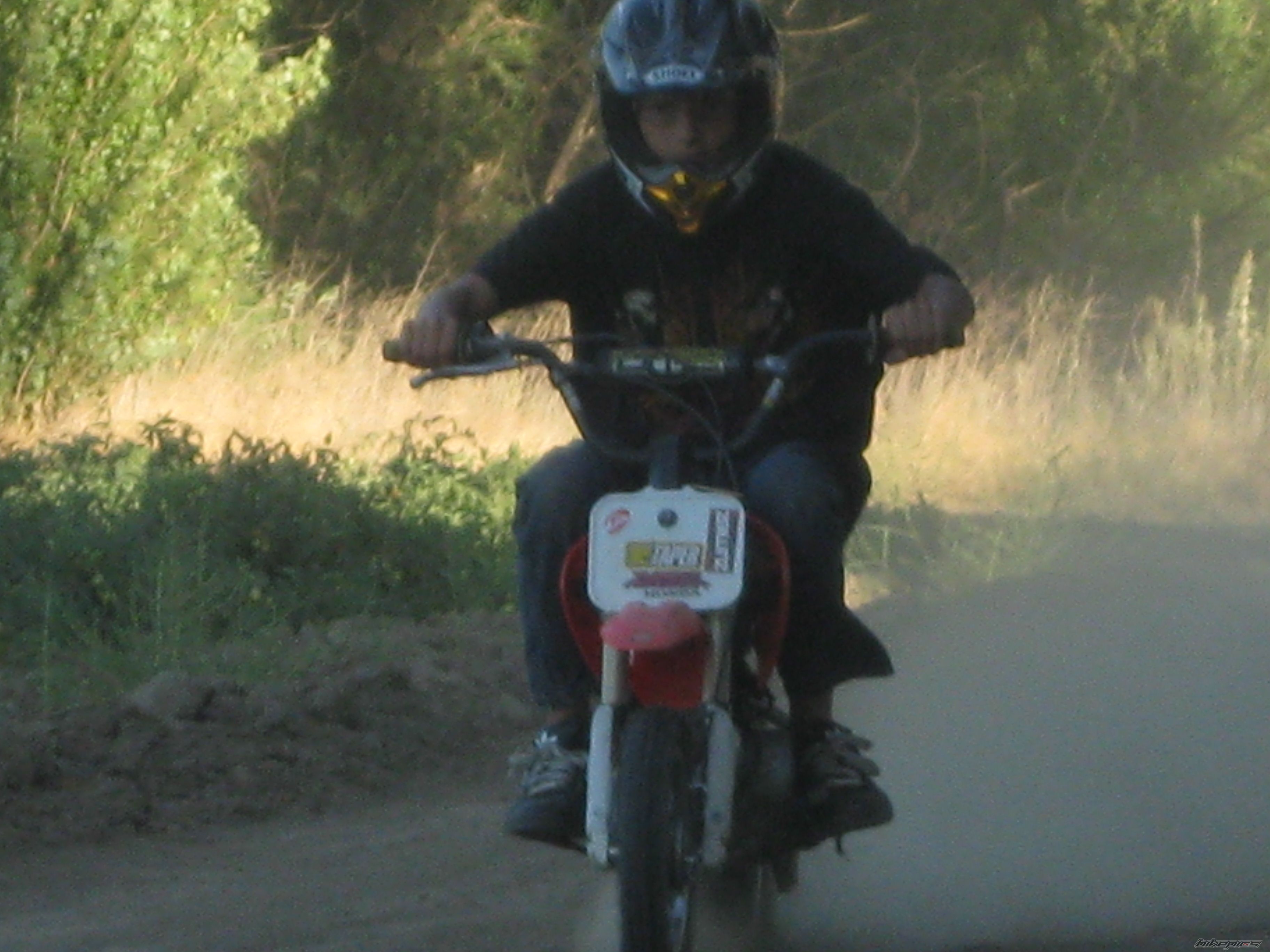 Photo 1745014