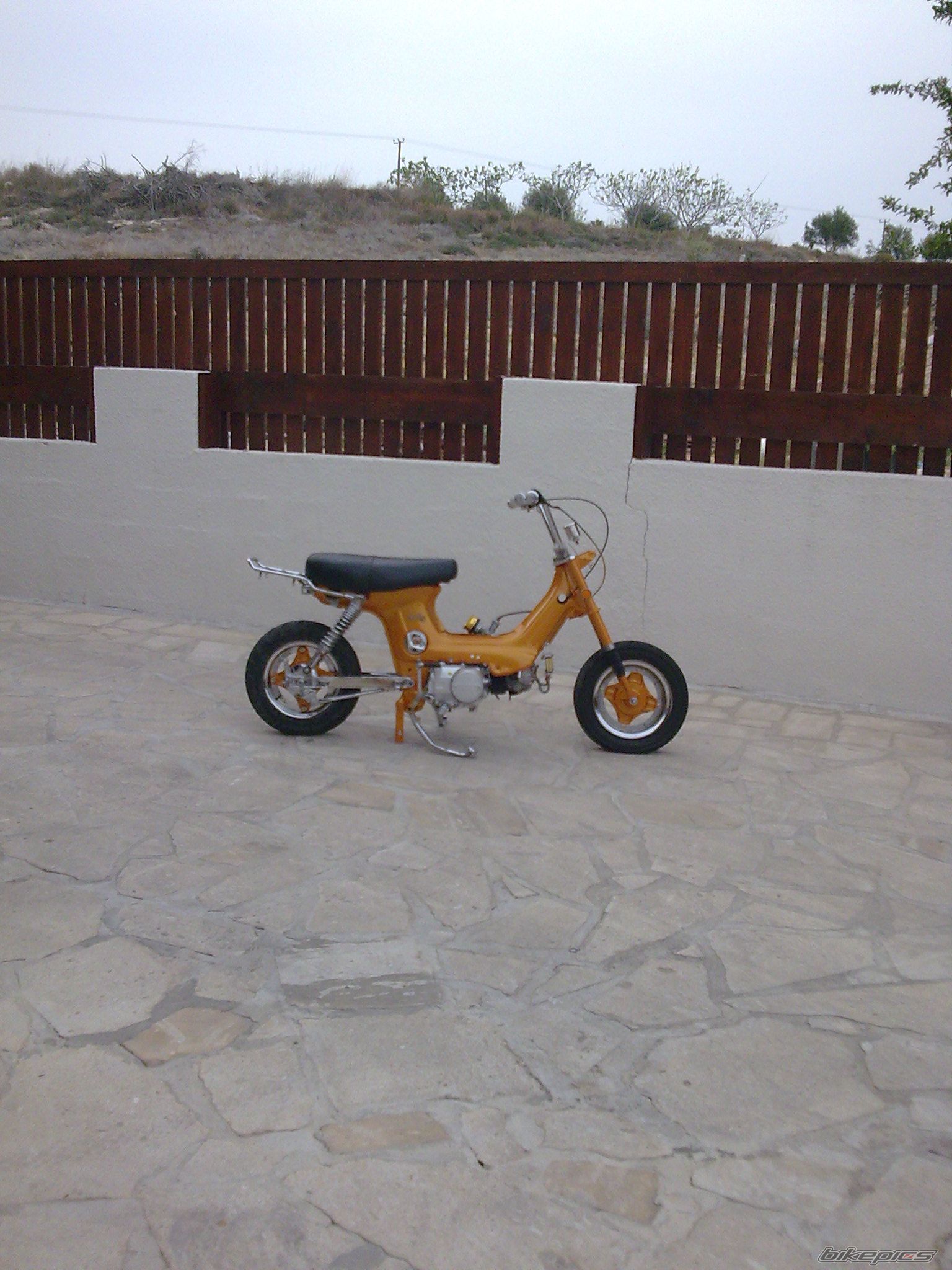 Photo 1745069