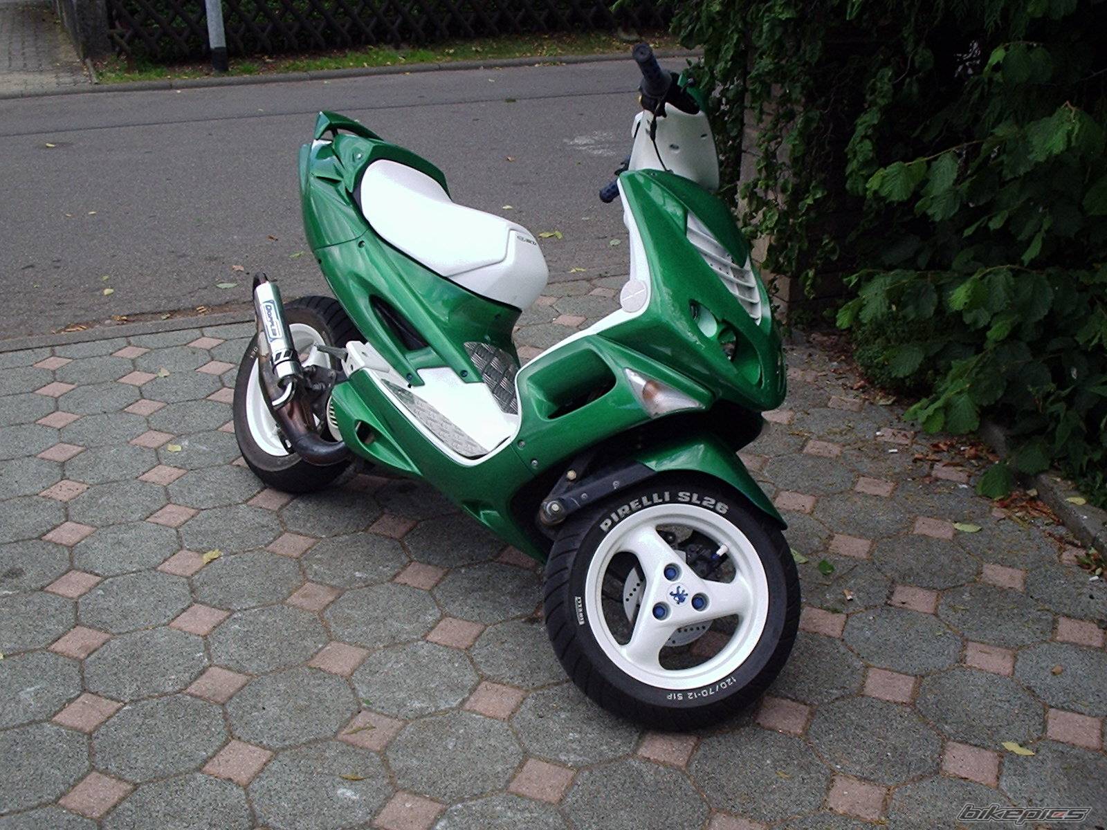 Photo 174524