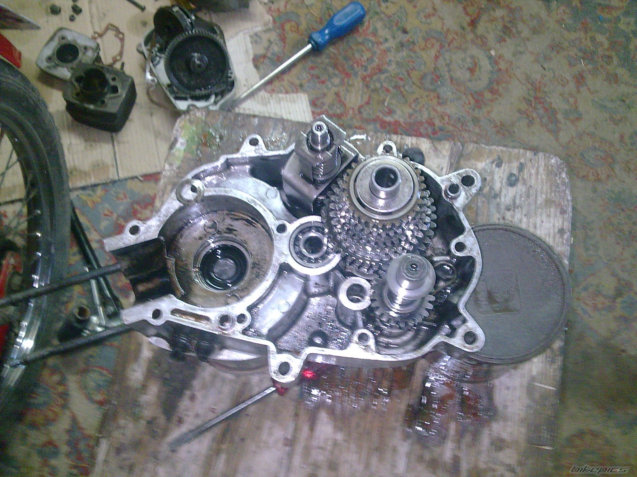 Bike Photo 1745269