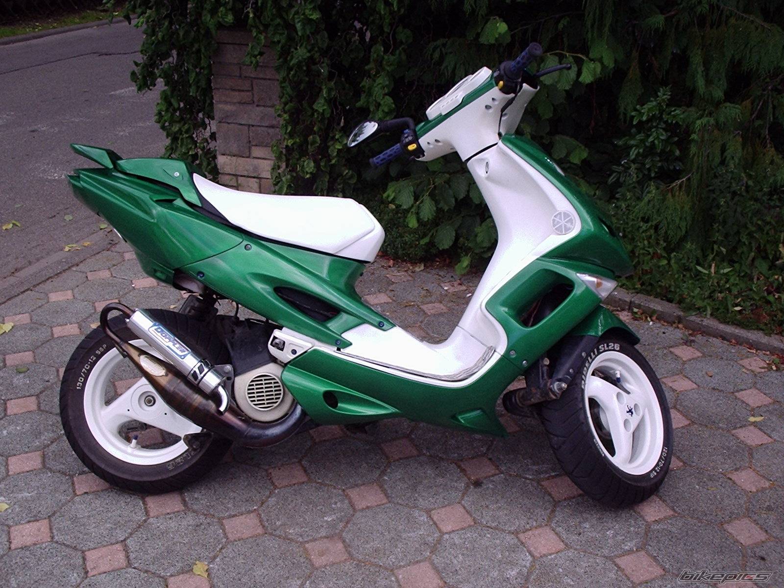 Photo 174528