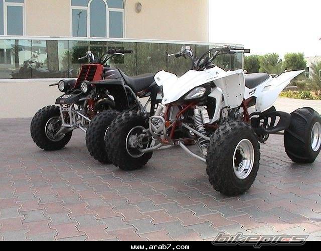 Photo 174563