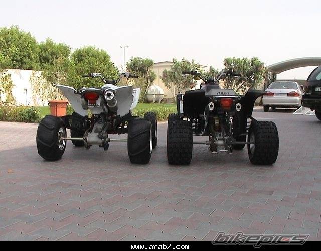 Photo 174564