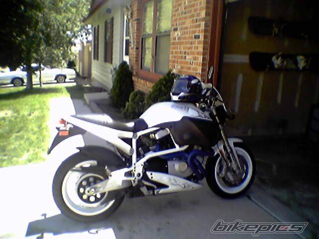 Photo 174565