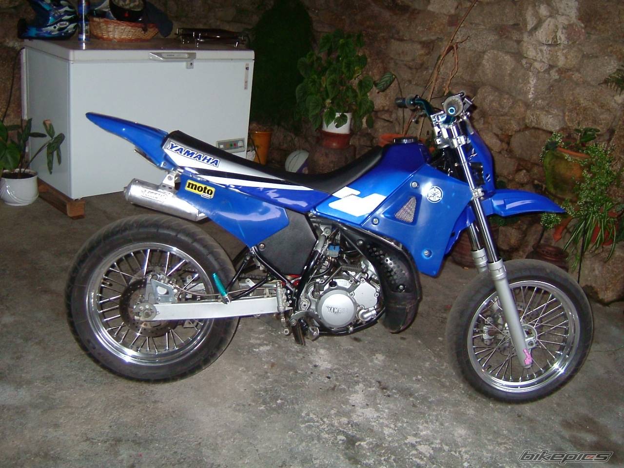 Photo 174583