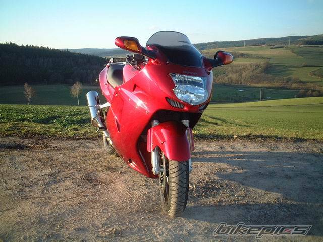 Photo 174589