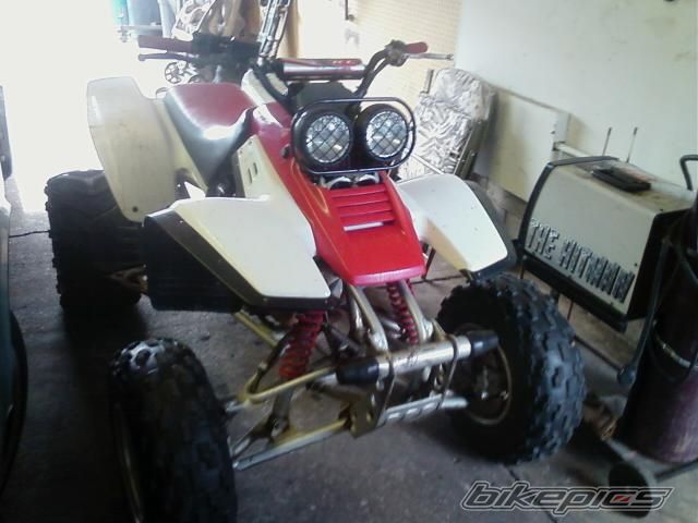 Photo 1745946