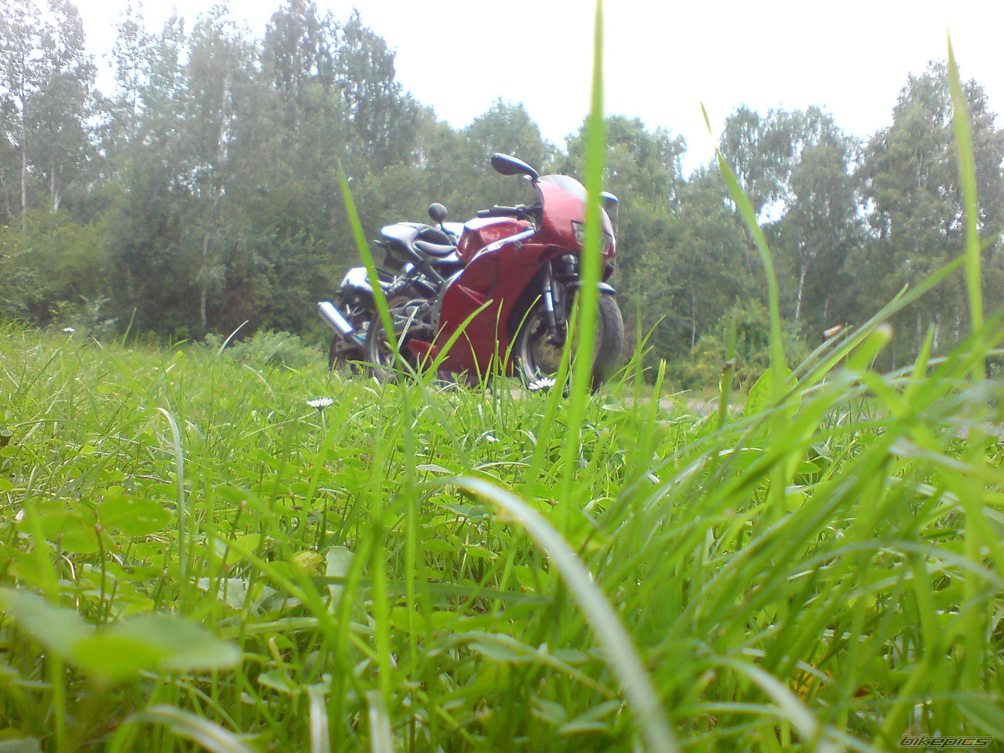 Photo 1746144