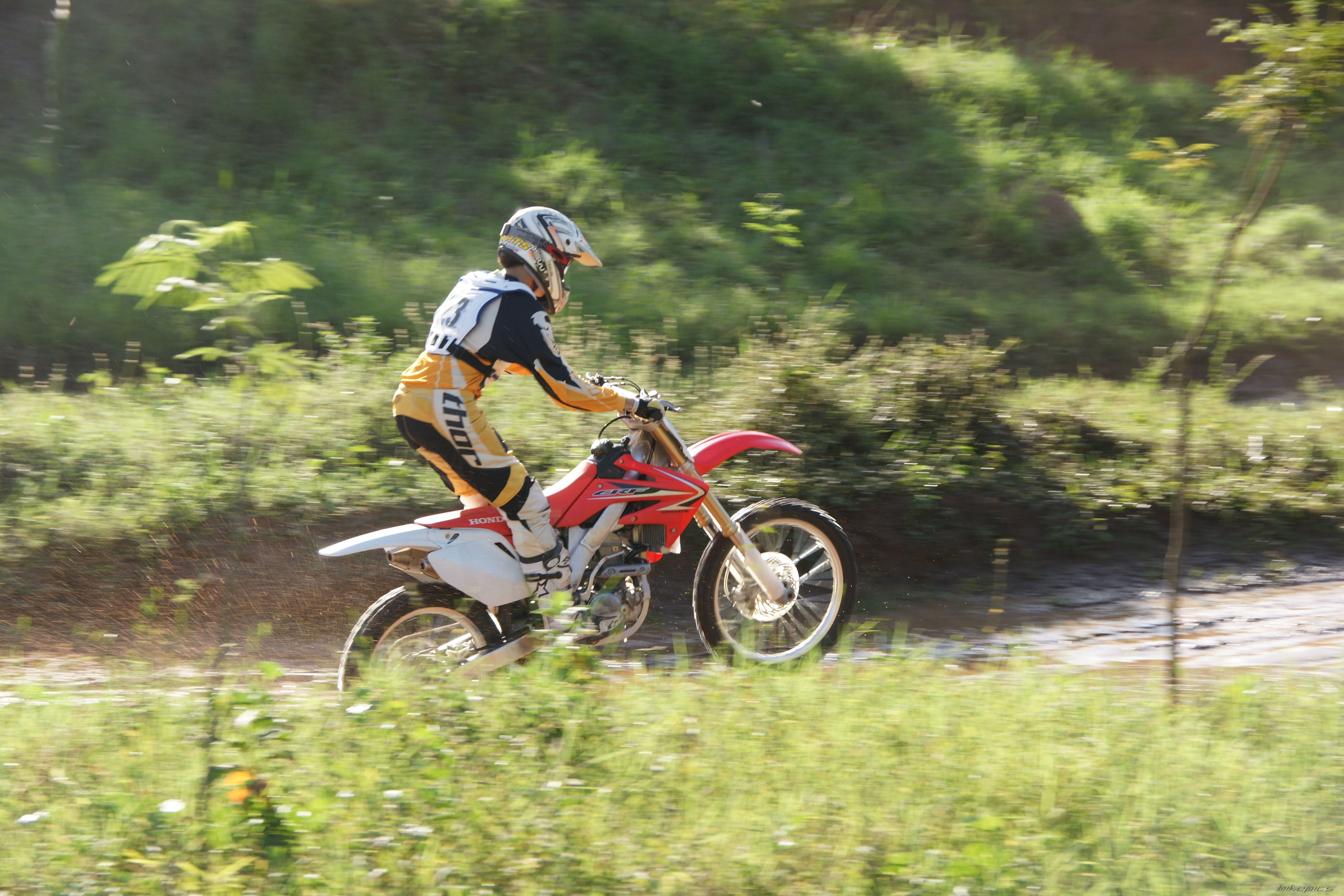 Photo 1746230