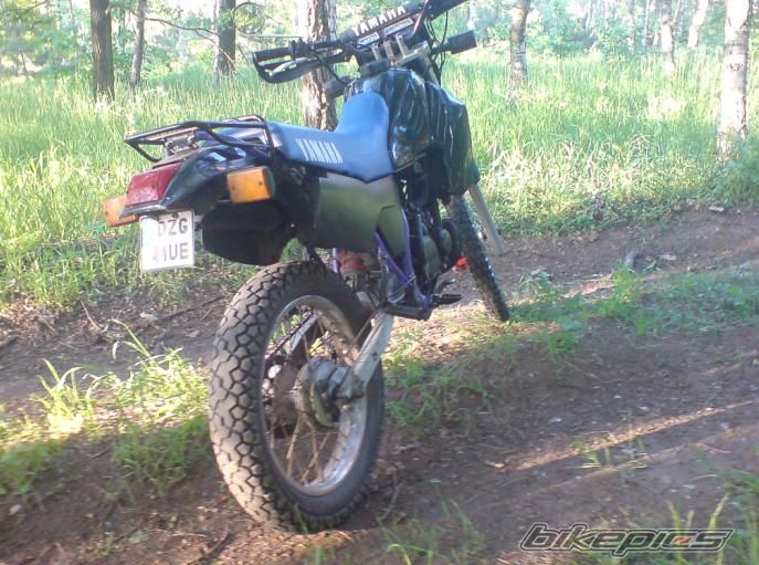 Photo 1746307