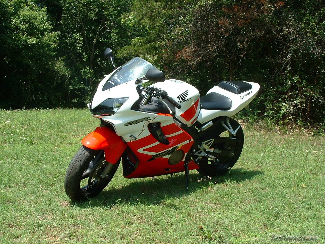 Photo 174631