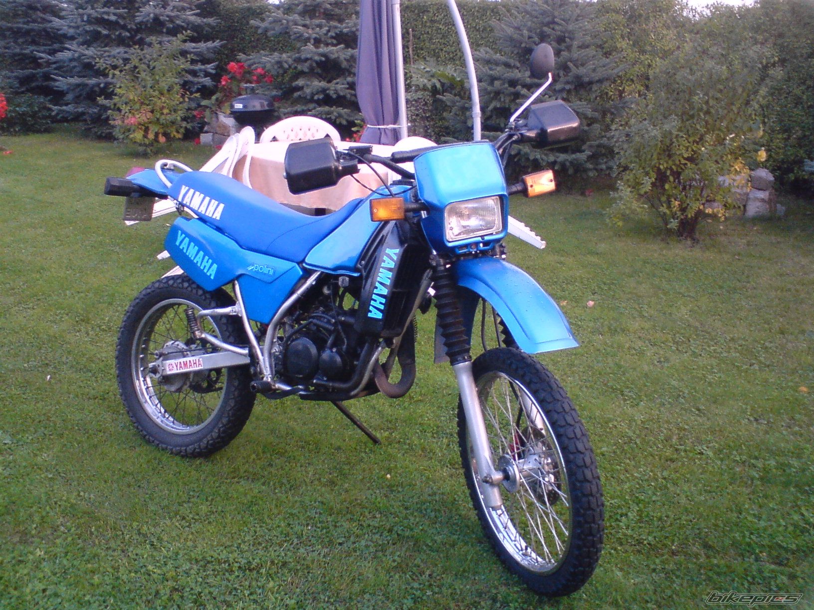 Photo 1746310