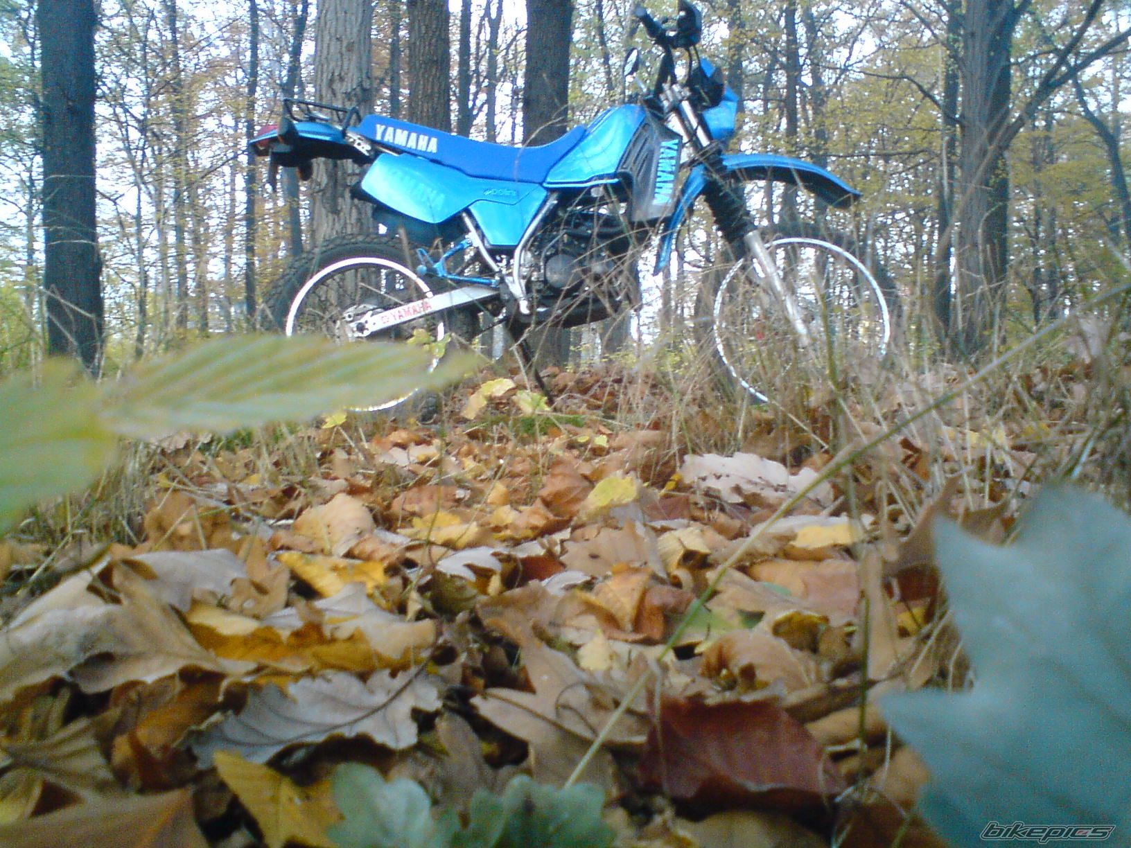 Photo 1746312