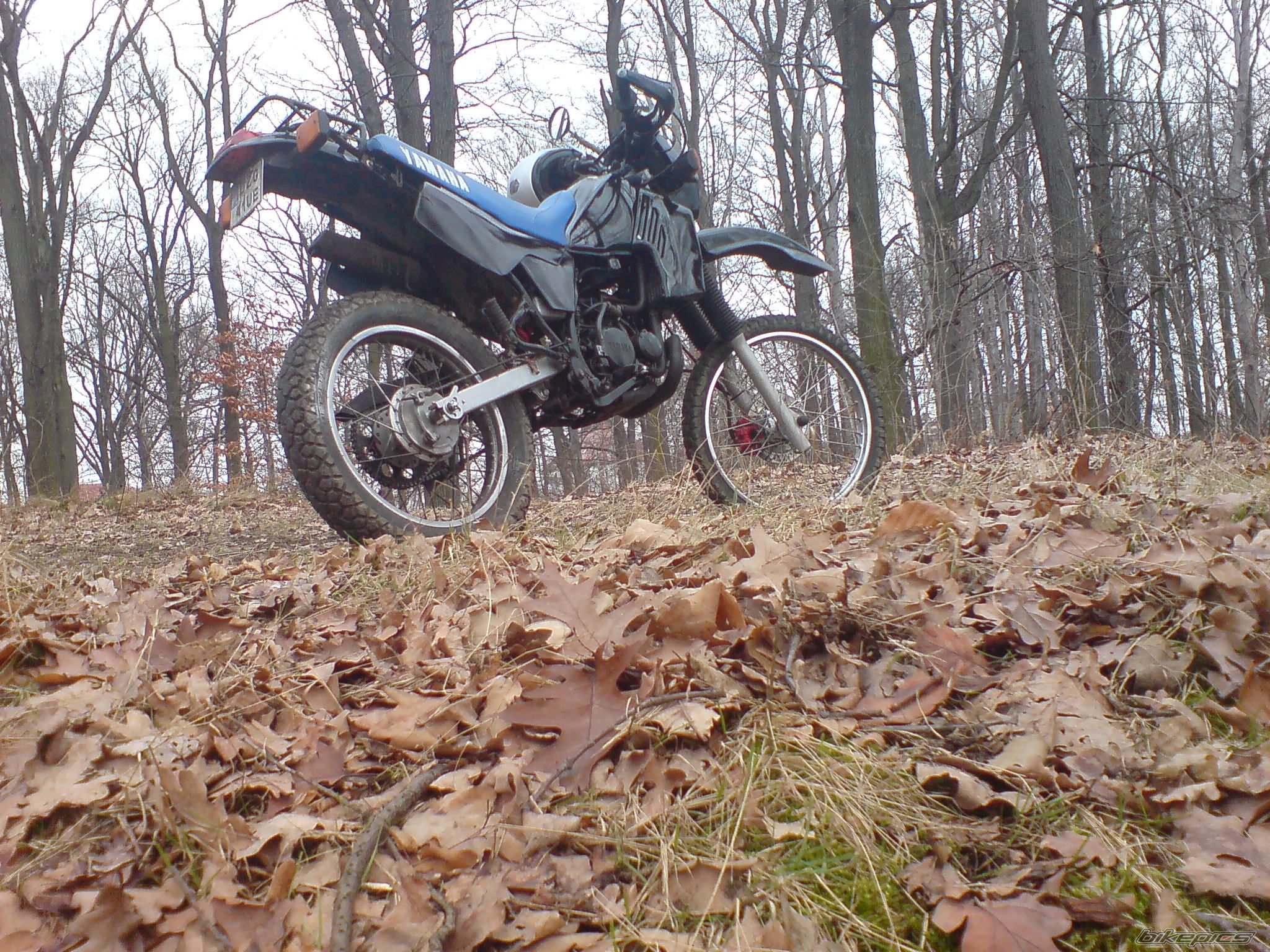 Photo 1746317