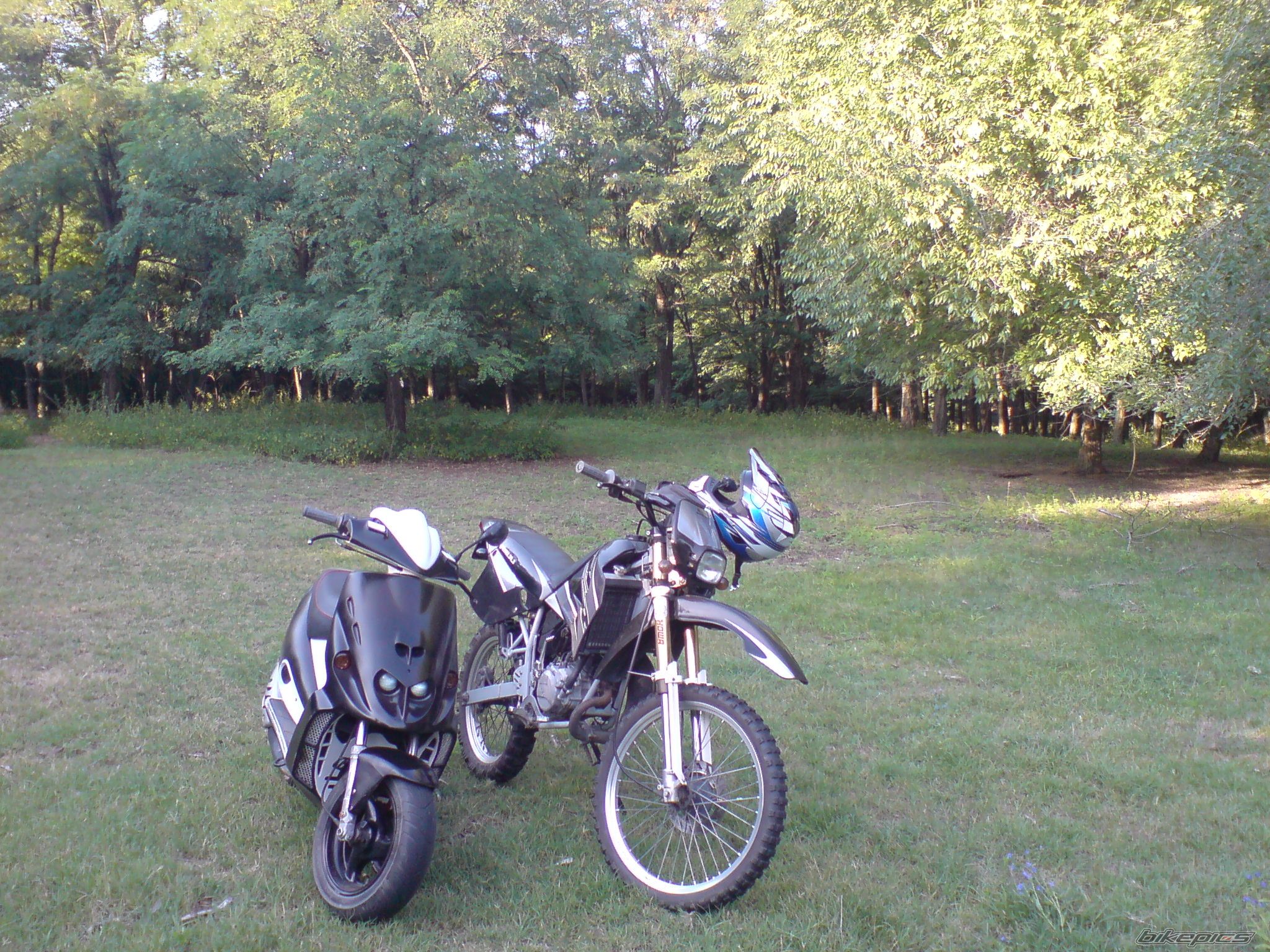 Photo 1746387