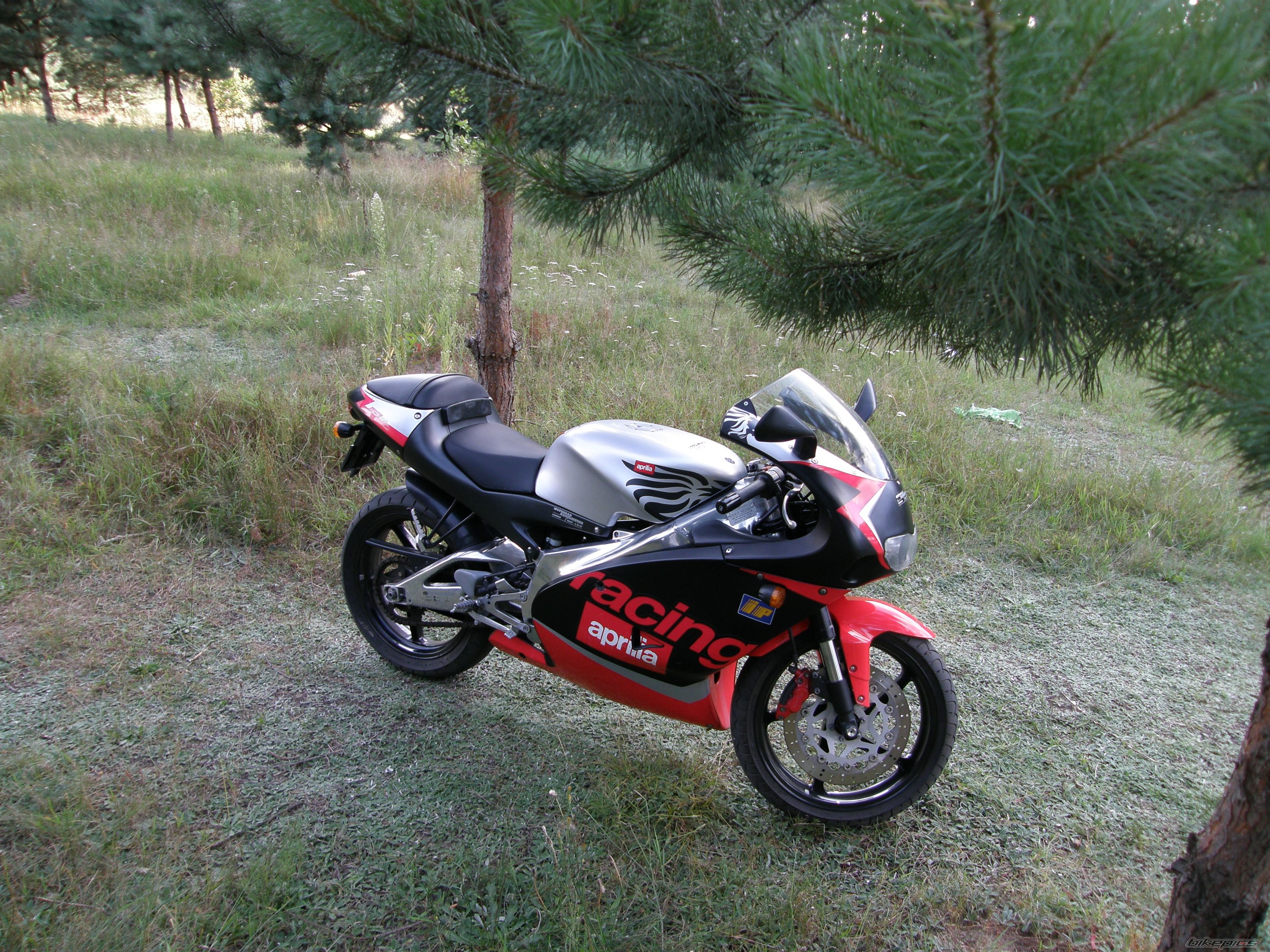 Bike Photo 1746531