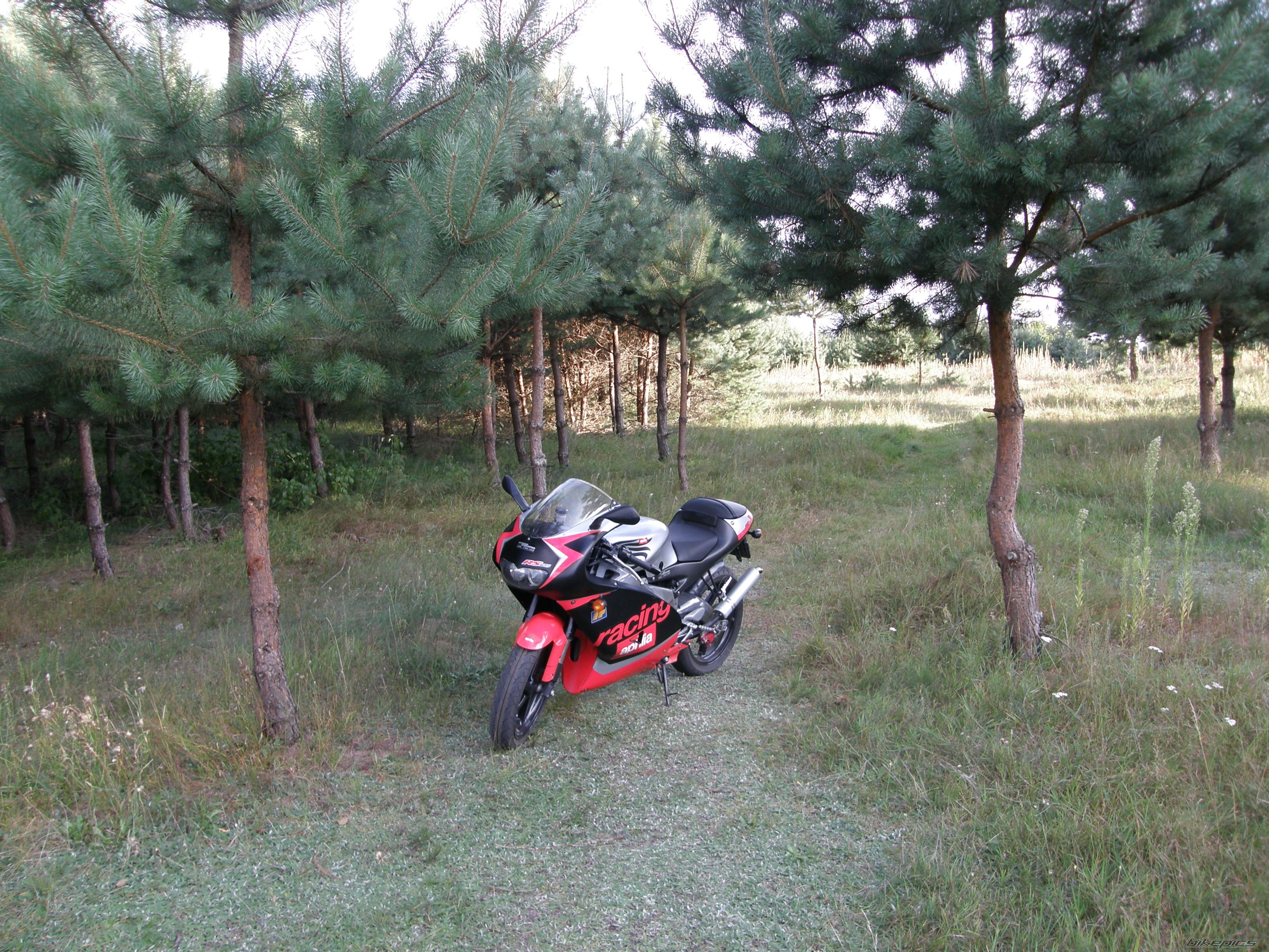 Bike Photo 1746546
