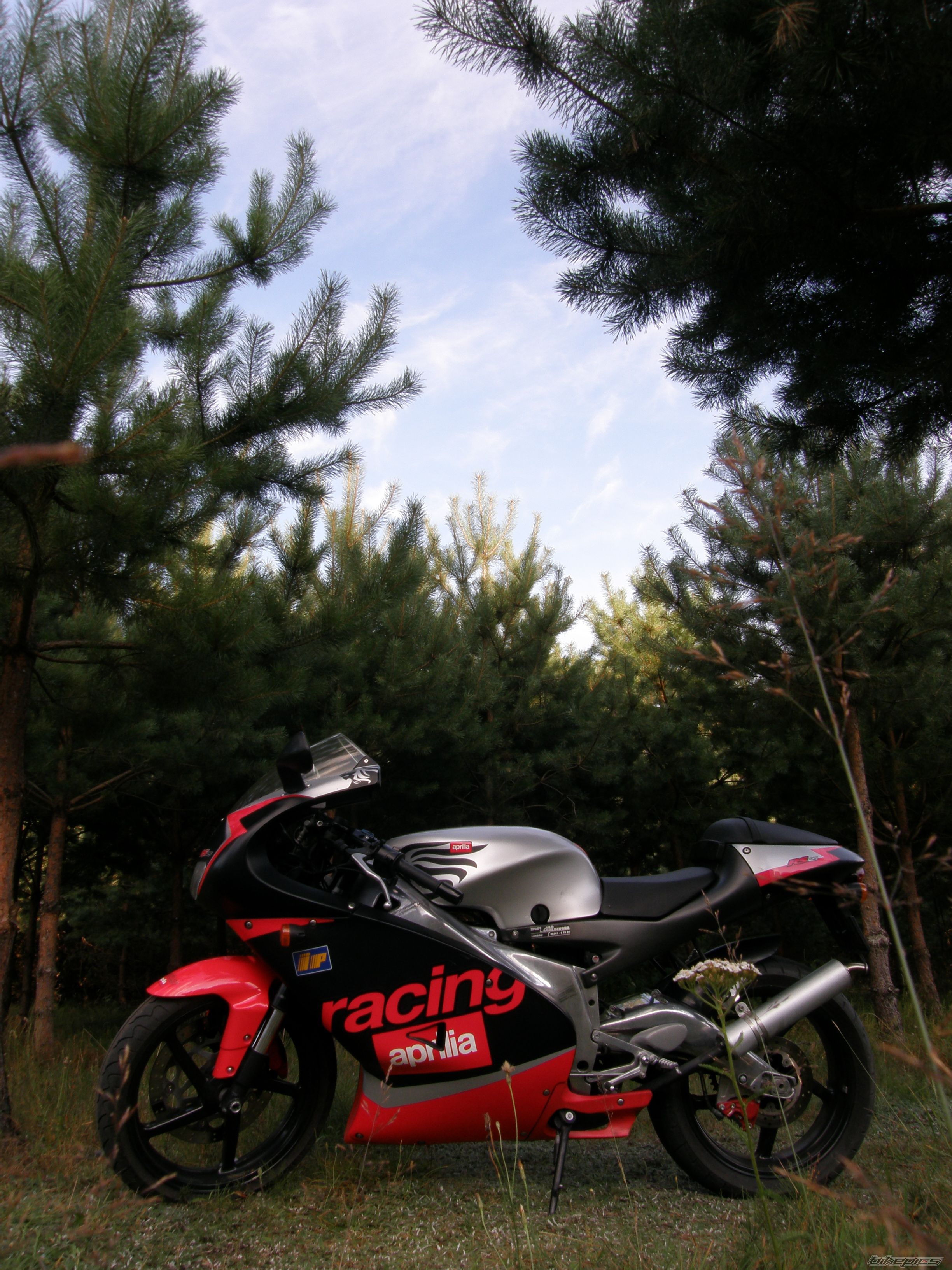 Photo 1746559