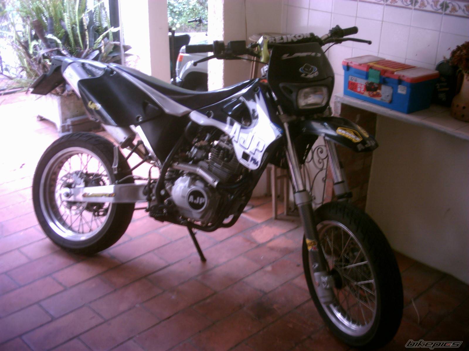 Photo 174664