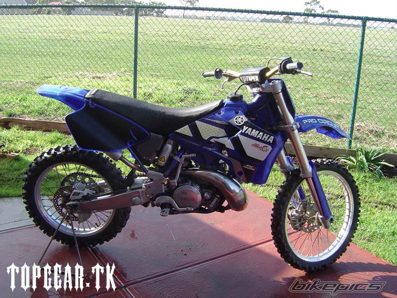 Photo 174679